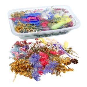 Dried Flowers for Resin Art (Box of 14 Designs)