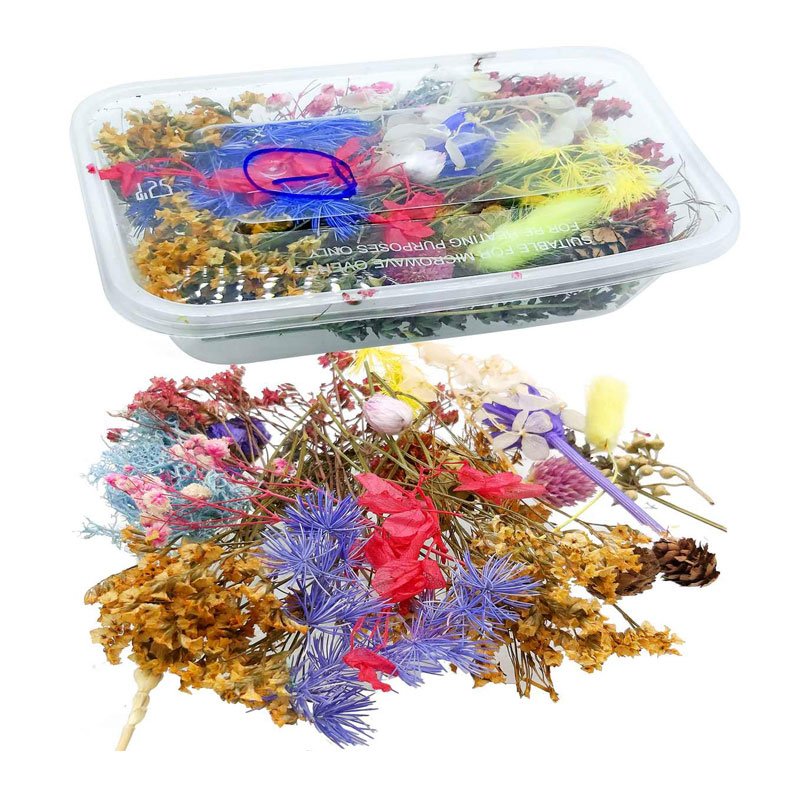 Buy Dried Flowers for Resin Art online in India | Hello August