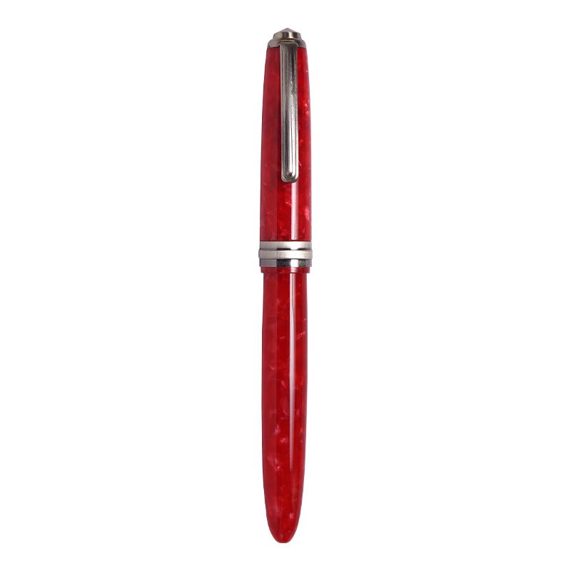 Click Falcon Premium Acrylic Fountain Pen (Medium Nib | Antique Silver Trim)